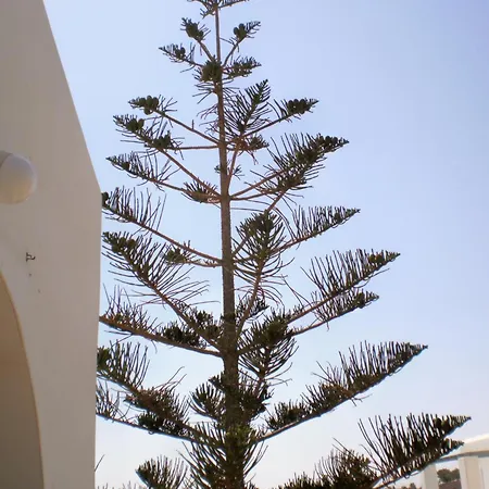 Panorama In Pisolivadi Piso Livadi