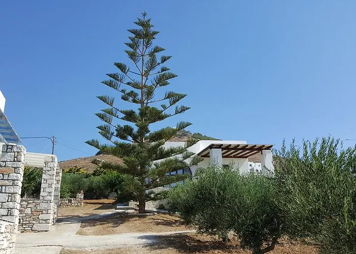 Panorama Studios In Pisolivadi Apartment