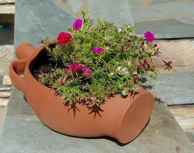 Apartment Panorama Studios In Pisolivadi Piso Livadi