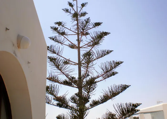 Panorama Studios In Pisolivadi Piso Livadi